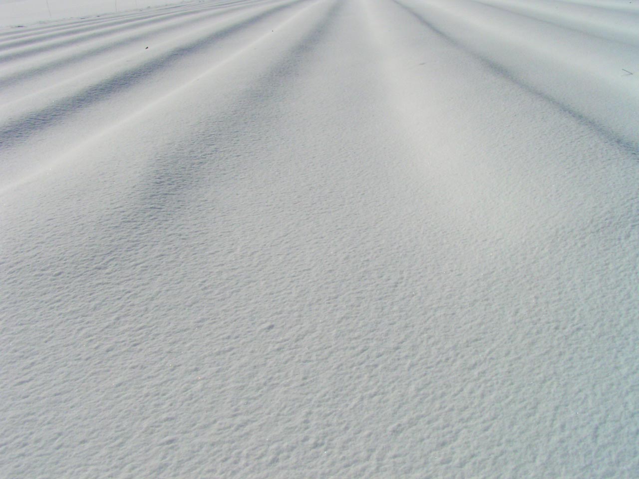 Winterdienst, Schneeräumen und streuen